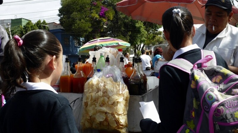 factores determinantes de la obesidad en mexico
